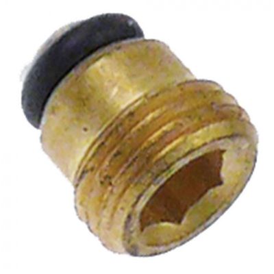 Capac arzator pilot cu oring M10x1 - 101925