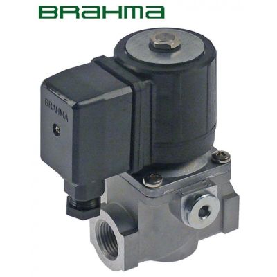 Electrovalva BRAHMA 230 V, 1/2", bobina 13902001 - 101948