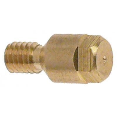 Duza de arzator pilot alezaj ø 0,35mm, M4x0,75, hexagon 5 mm - 107168