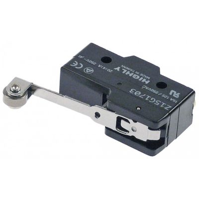 Micro intrerupator 47 mm - 345485