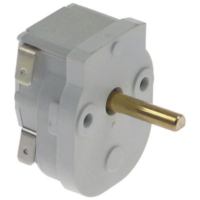 timer MT49 2cu -poli timp de funcționare 240s 2NO la 250V 16A 6x4,6 lungime ax 24mm