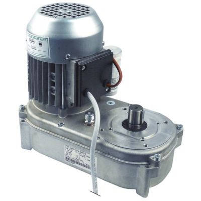 Motoreductor 23638, 300W,  220/240V, pentru masina fulgi de gheata - 500677