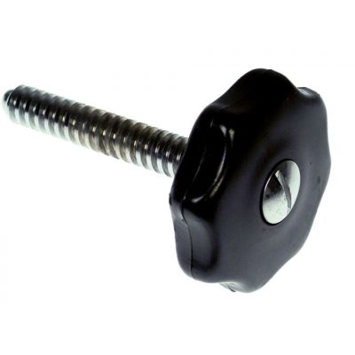 locking screw