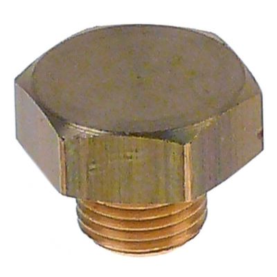 Capac cu filet 1/8", hexagon 16 mm - 520705