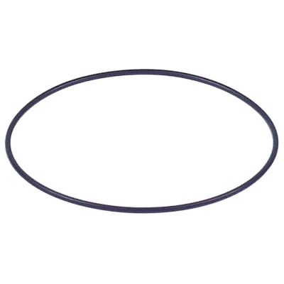 Garnitura capac pompa / oring, EPDM, grosime 1,78 mm, diametru interior ø 72,75 mm - 521724