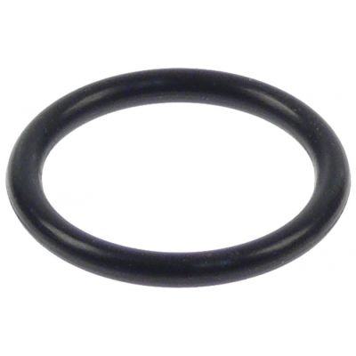 Oring EPDM thickness 3 mm ID ø 22,2 mm Qty 1 pc - Code 527561