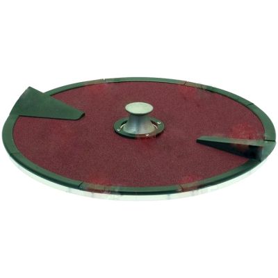 Disc abraziv - platan - pentru masina de curatat cartofi PPN25-PPF25, ø 485 mm - ACPTB