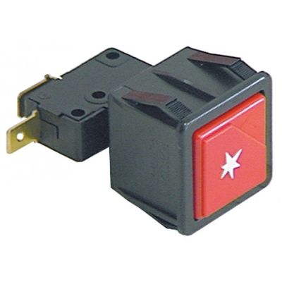 Buton de aprindere - 100160