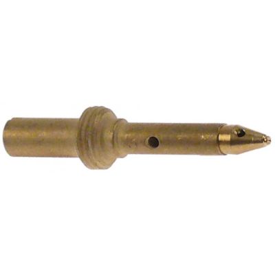 Duza arzator pilot, GPL, alezaj ø 0,2 mm, 1 buc - 100247