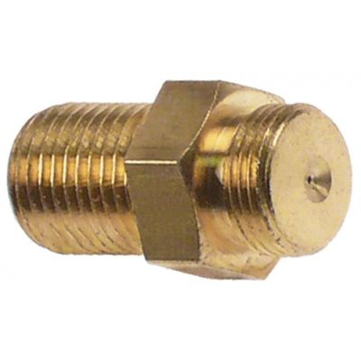 pilot burner nozzle LPG bore ø 0,2mm Qty 1 pcs suitable for Ambach