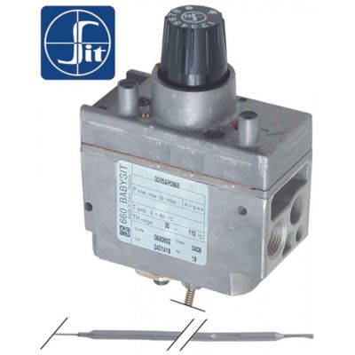 gas thermostat type series 660 Babysit t.max. 110°C 30-110°C gas input 3/8"
