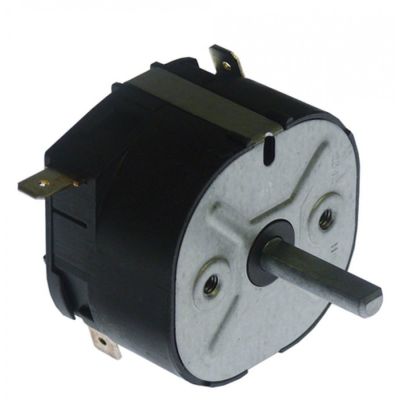 Timer 120 minute, 2 contacte 2 NO, 16A, 250 V, ax 6x4,6 mm - 350030