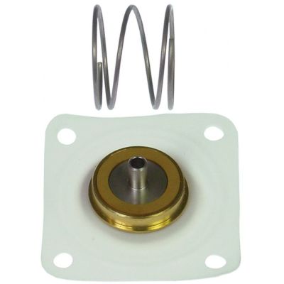 Membrana din teflon pentru electrovala 3/4", Sirai serie L145-R