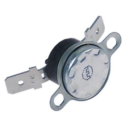 Termostat de contact 125 °C, 1 contact, 2 orificii de fixare - 390632