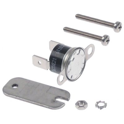 bi-metal safety thermostat switch-off temp. 60°C 1-pole connection F6,3