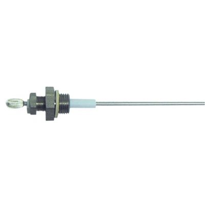 level electrode ¼" overall length 220 mm sensor length 195 mm - 400260