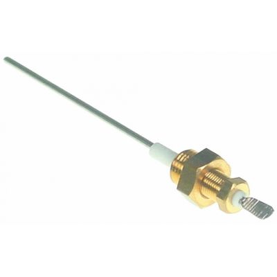level electrode ¼" overall length 132 mm sensor length 100 mm insulated sensor length 22 mm - Code 400598