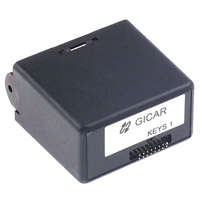 electronic timer