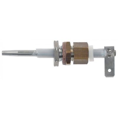 level electrode M10, total length 70 mm, probe length 40 mm, insulated probe length 14 mm - 402544