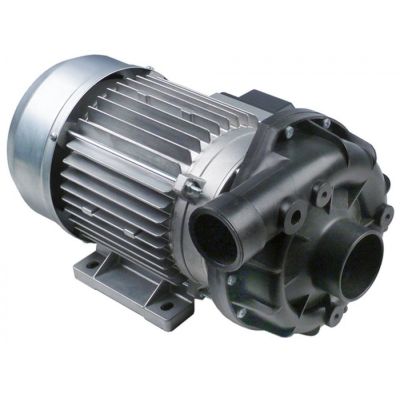 pump inlet ø 62mm outlet ø 52mm type FG12430 230/400V 50 Hz 3 phase 2,24 kW 3,04 HP L 365 mm