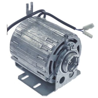 pump motor RPM 165W 230V 50/60Hz connection cable 1500mm capacitor 10µF - 499214
