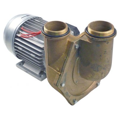 pump inlet ø 2¼" outlet ø 2" type CF1402 230/400V 50Hz 3 phase 0,9kW L 360mm - 499234