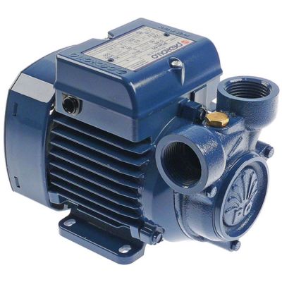 booster pump inlet ø 1" IT outlet ø 1" IT type PQM60 220 V 60 Hz 0,37 kW 0,5 HP L 195 mm - 499308