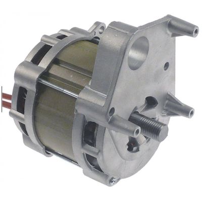 motor 230V 50Hz OG30E - 499325