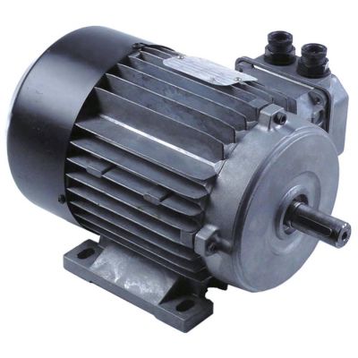 motor 0,55kW 230/400V 60Hz 3 phase shaft ø 19mm 900rpm type H80B6 ø 155mm H 160mm L 240mm