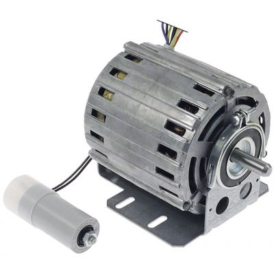 gear motor 230V