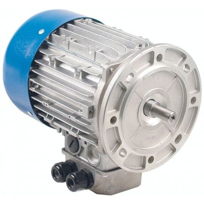 motor 2 speeds 0,6/0,8kW 400V 50Hz 3 phase shaft ø 14mm flange ø 160mm 1400/2800rpm