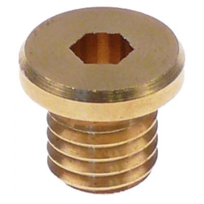 screw M10x1,5 ø 14,7mm H 13mm WS hexagonal 5mm