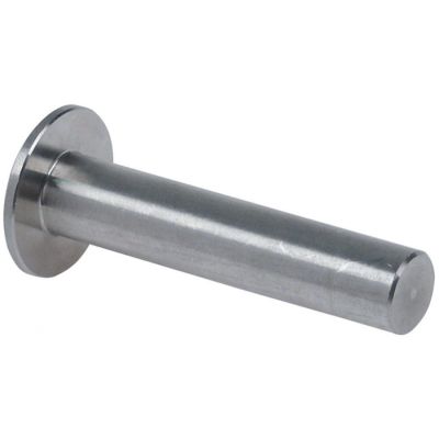 pin for hinge stainless steel L 60 mm D1 ø 12 mm D2 ø 25 mm - Code 519345