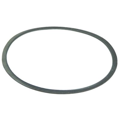boiler gasket D1 ø 184 mm D2 ø 170 mm thickness 2 mm graphite suitable for PAVONI - Code 528163