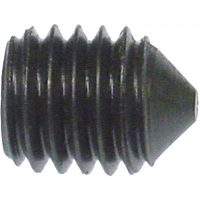 grub screw M8 L 10mm Qty 1 pcs WS 4
