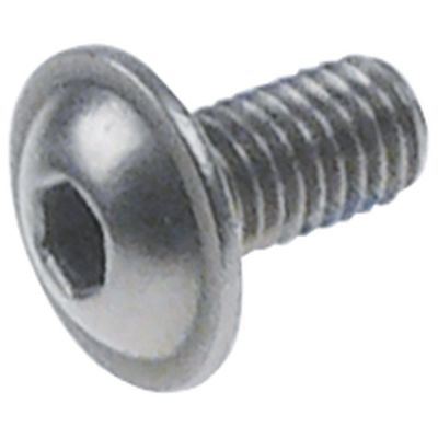 screw M5 L 12,5mm SS Qty 1 pcs intake hexagonal 3mm head ø 11,3mm