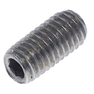 grub screw M8x1,25 L 16mm intake 4mm Qty 1 pcs