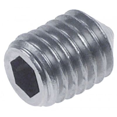 grub screw M8x1,25 L 12mm SS DIN 914 intake internal hexagon WS 4 Qty 1 pcs