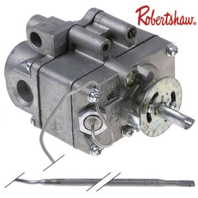 gas thermostat 65-287°C probe ø 5mm probe length 390mm capillary pipe length 1400mm
