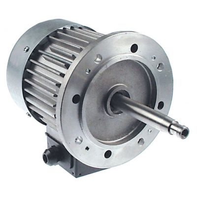 fan motor 230/400-415V 3 phase 50/60Hz 0,25kW 1400/1600rpm speeds 1 L1 175mm L2 70mm L3 27mm