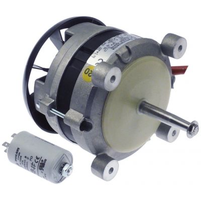 Motor ventilator 250 W, 230 V, 2600 rpm, condensator 10 µF - 601816