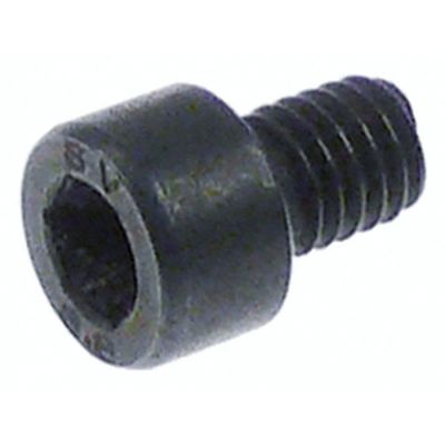 cylinder head bolt M6 thread length 9mm WS 5 Qty 1 pcs