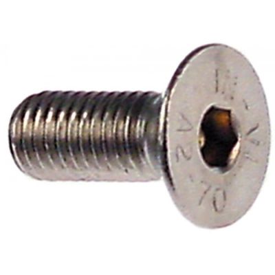 countersunk screw thread M10 L 20mm WS 6 SS DIN/ISO DIN 7991/ISO 10642 Qty 1 pcs