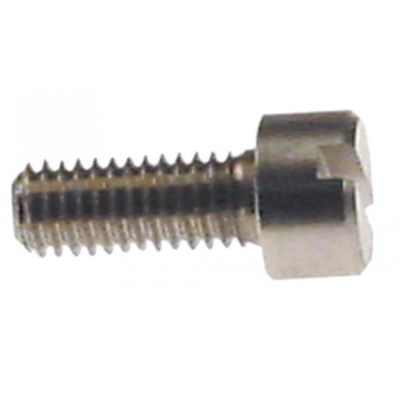 cylinder head bolt M6 thread length 15mm SS Qty 1 pcs intake slotted