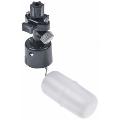 intake valve with float
