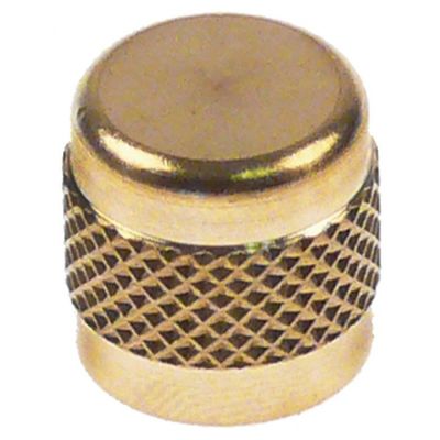 screw cap CASTEL size 1/4" SAE for Schrader valve connection 1/4" Qty 1